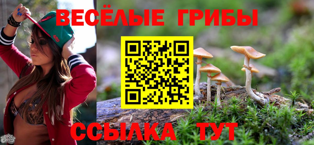 Псилоцибиновые грибы ЛСД Копейск