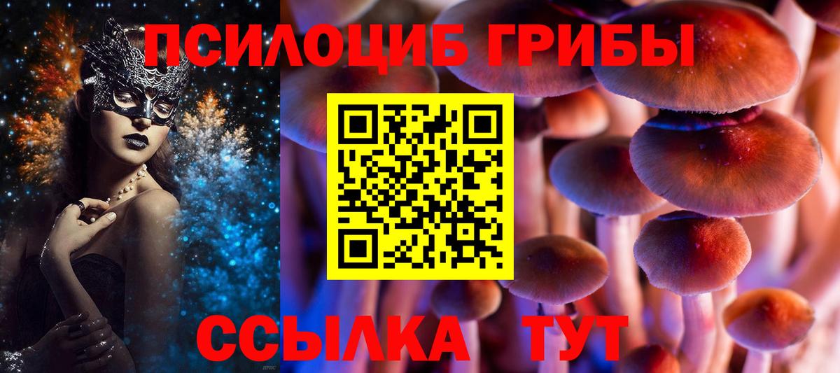 Копейск  Псилоцибиновые грибы Psilocybine cubensis  Вход с VPN 